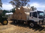 We keep a fresh supply of hay in stock.